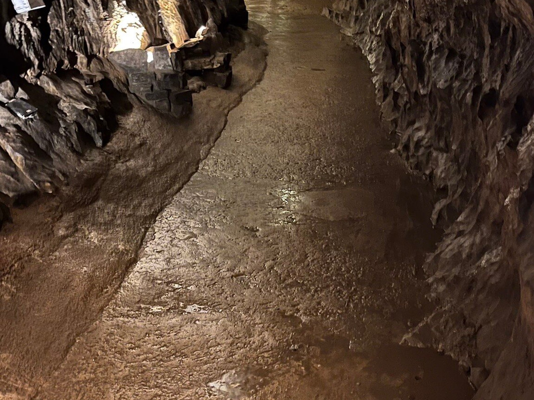 The National Showcaves Centre for Wales-Craig-y-nos必去景点