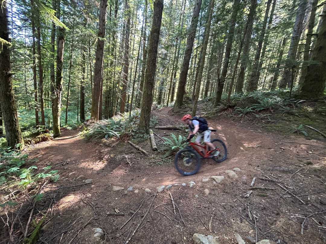 Island Mountain Rides-Cumberland必去景点
