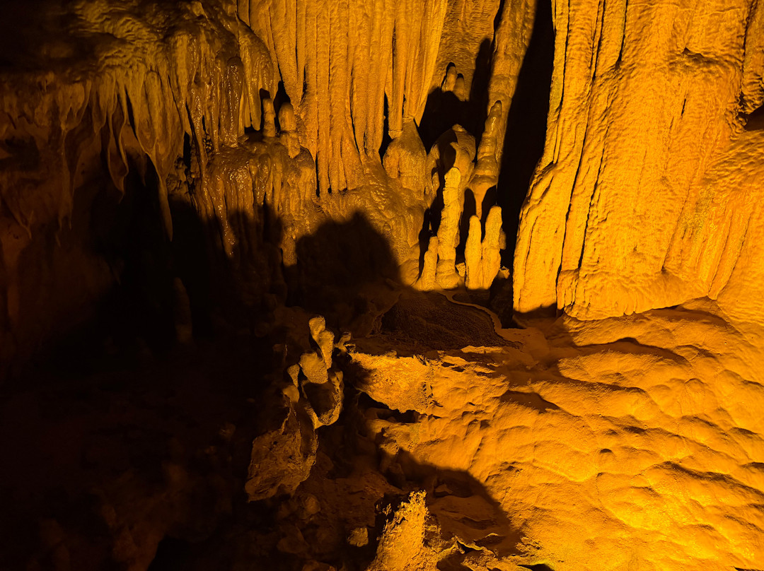 Florida Caverns State Park-Marianna必去景点