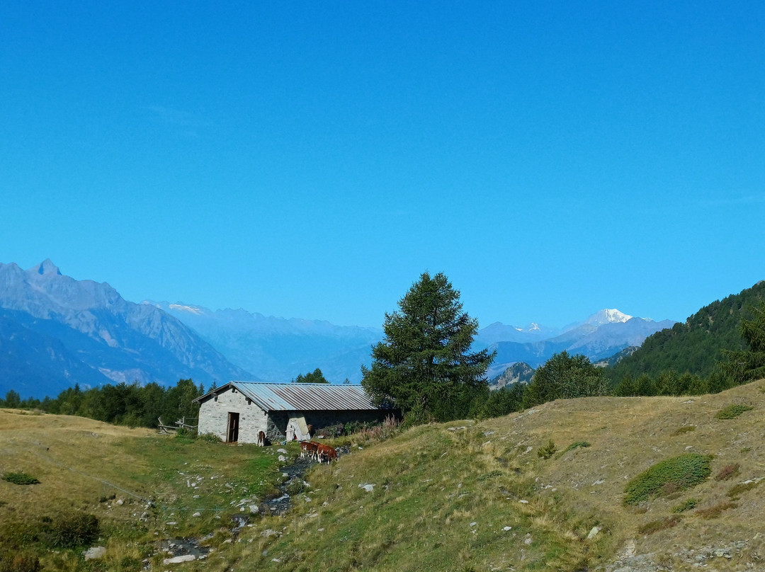 Rifugio Arp主图
