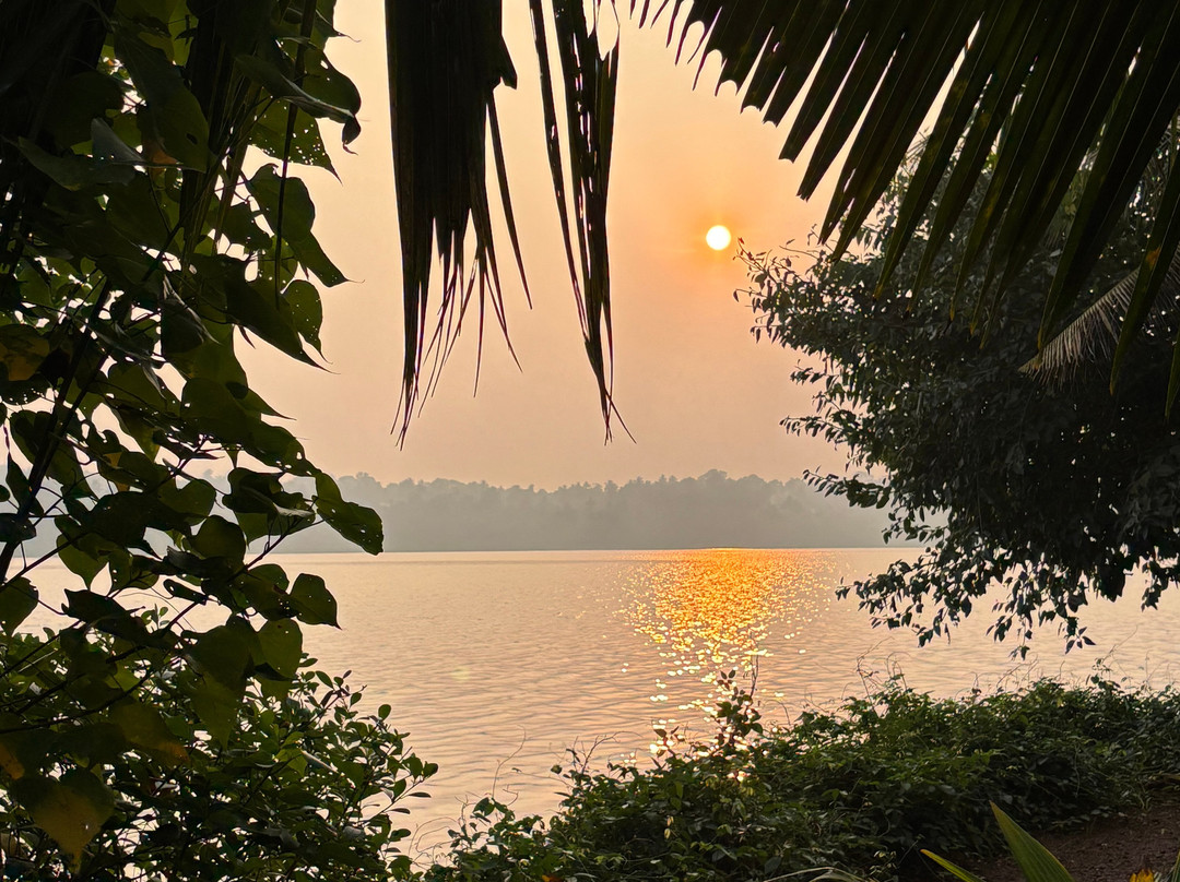 Sarovaram Ayurvedic Backwater Health Centre主图