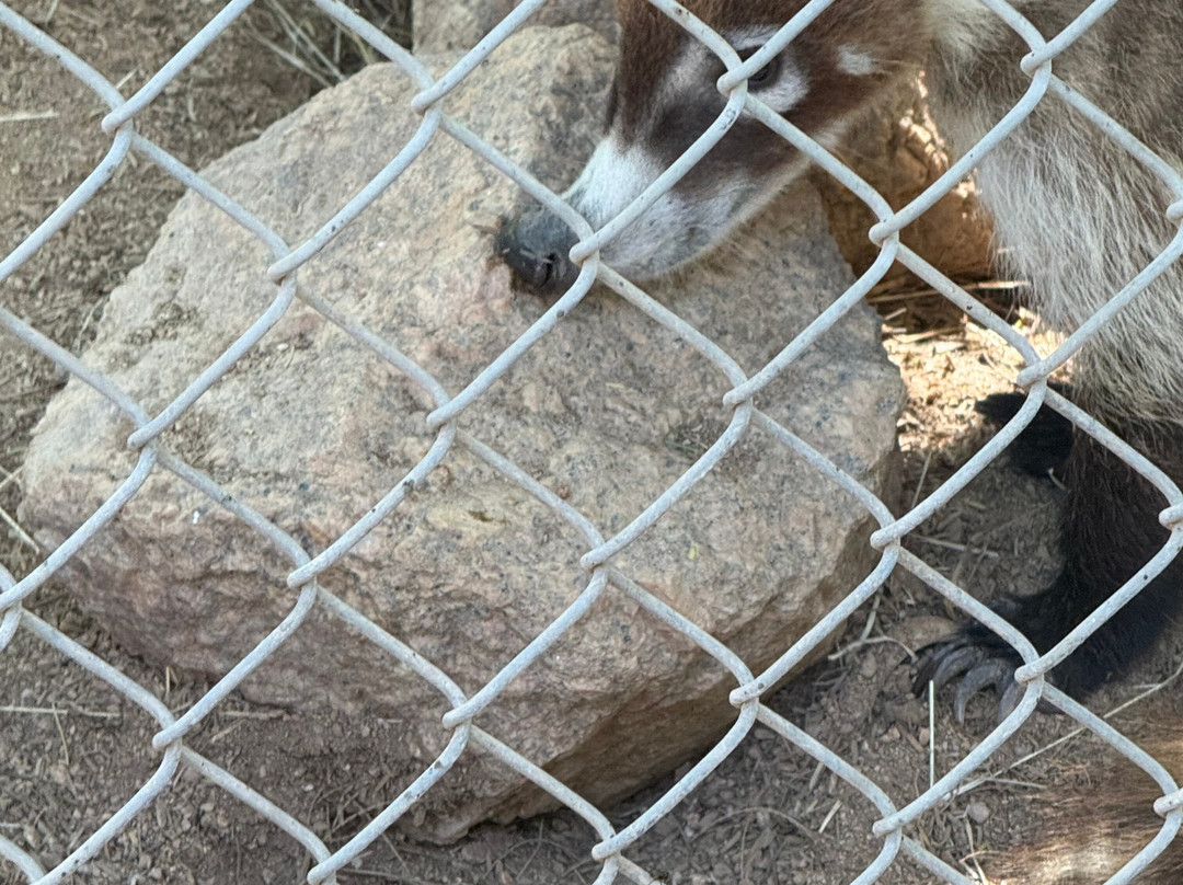 Southwest Wildlife Conservation Center-斯科茨代尔必去景点