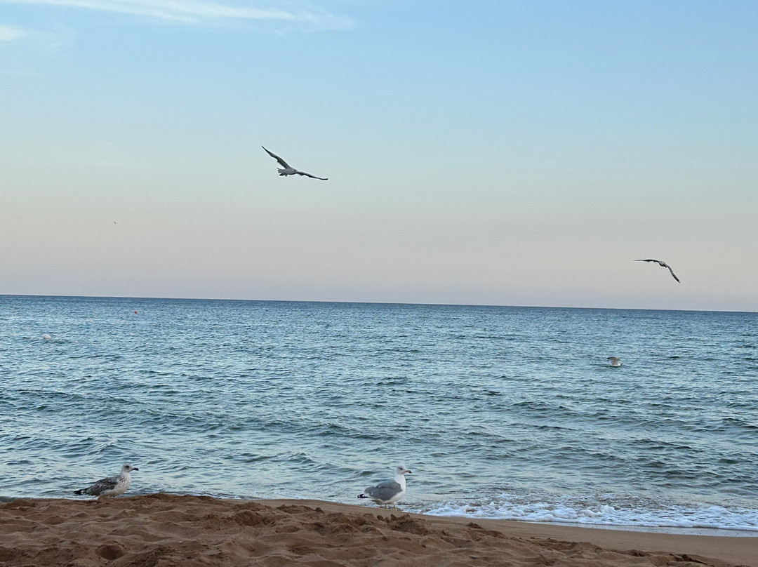 Spiagge Rosse-Capo Rizzuto必去景点