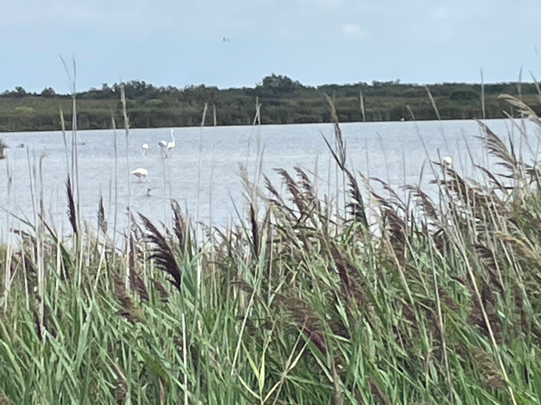 Safari Karine Cœur de Camargue-Montcalm必去景点