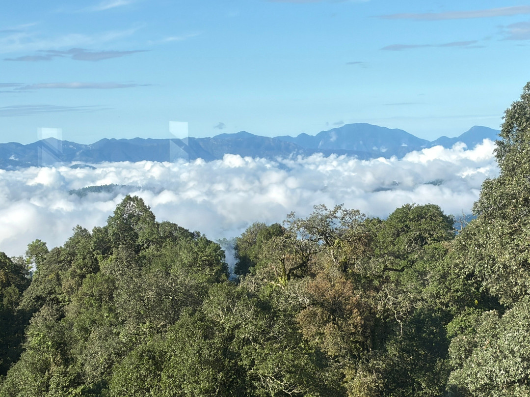 Nine Furlongs, Binsar Wildlife Sanctuary主图
