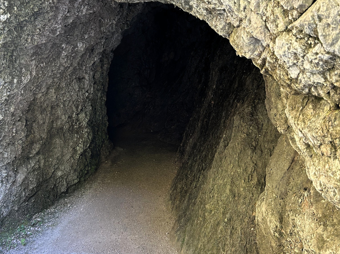 Almbachklamm-Marktschellenberg必去景点