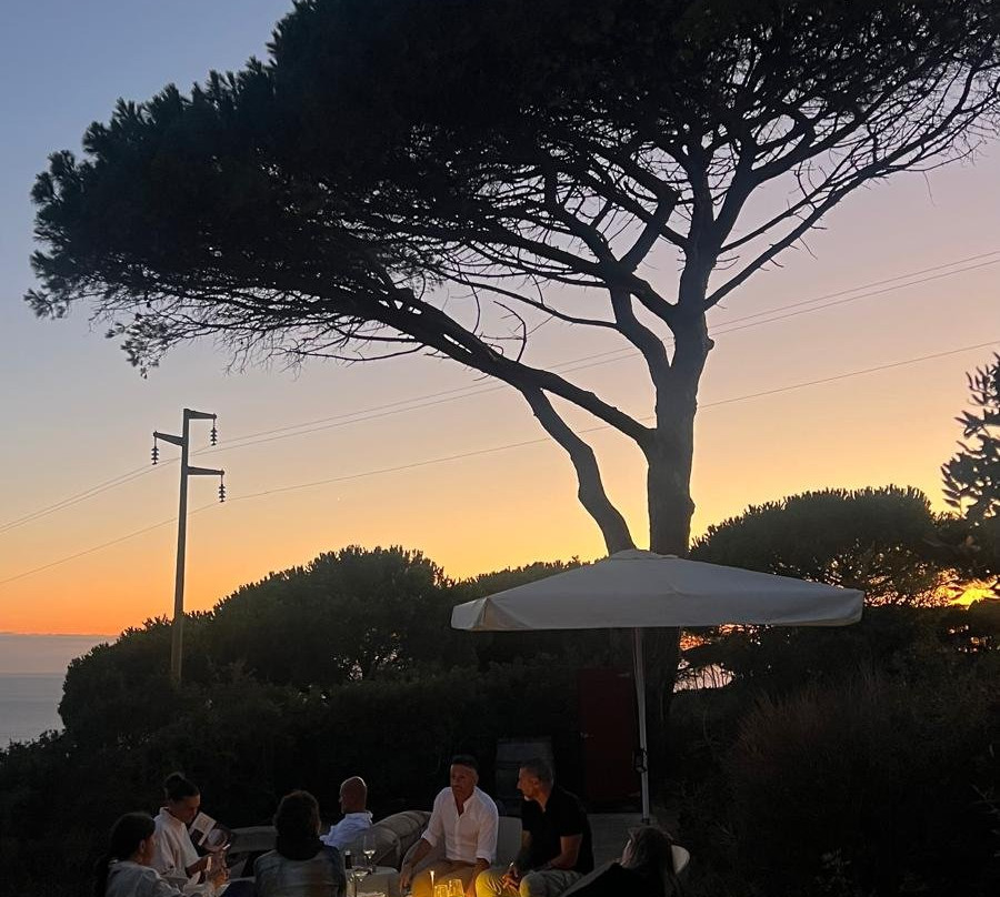 CANTINA Tenuta delle Ripalte-Capoliveri必去景点