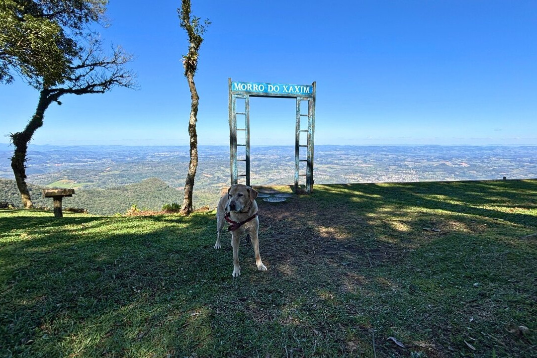 Morro do Xaxim-Igrejinha必去景点