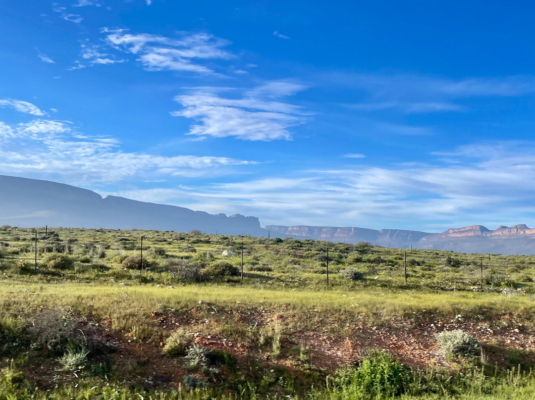 Piekenierskloof Pass-Citrusdal必去景点
