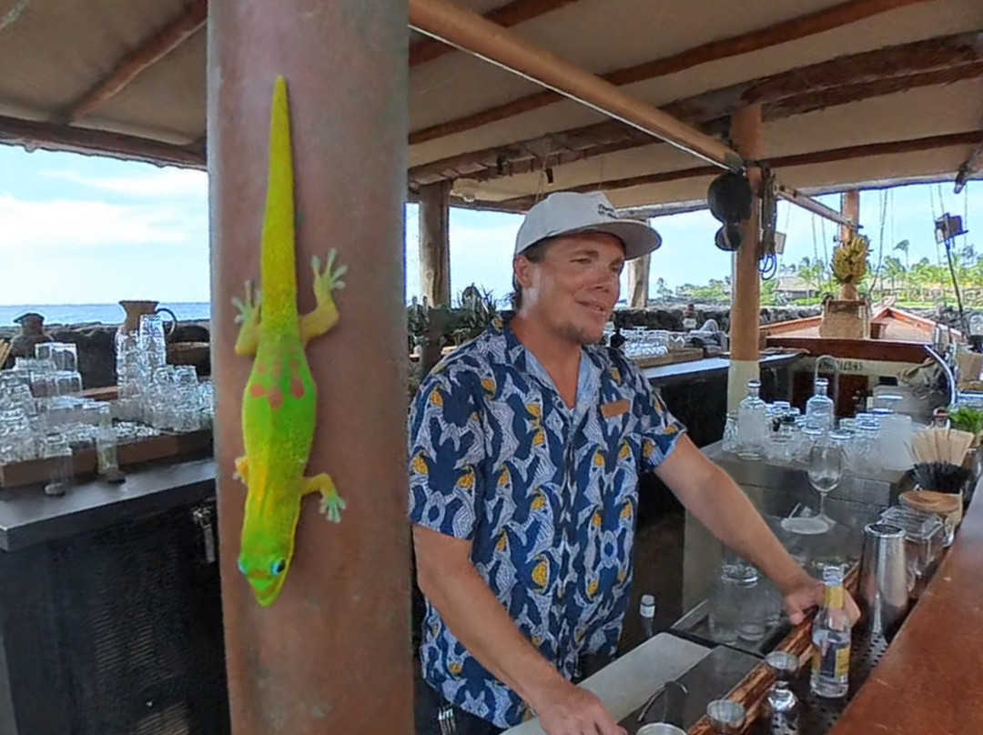 Shipwreck Bar and Sushi