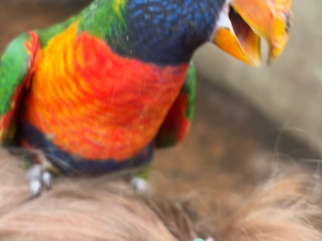 West Midlands Safari Park-Bewdley必去景点