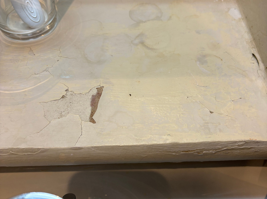 斯蒂夫基红狮主图