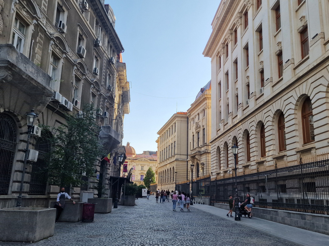 Calea Victoriei-布加勒斯特必去景点