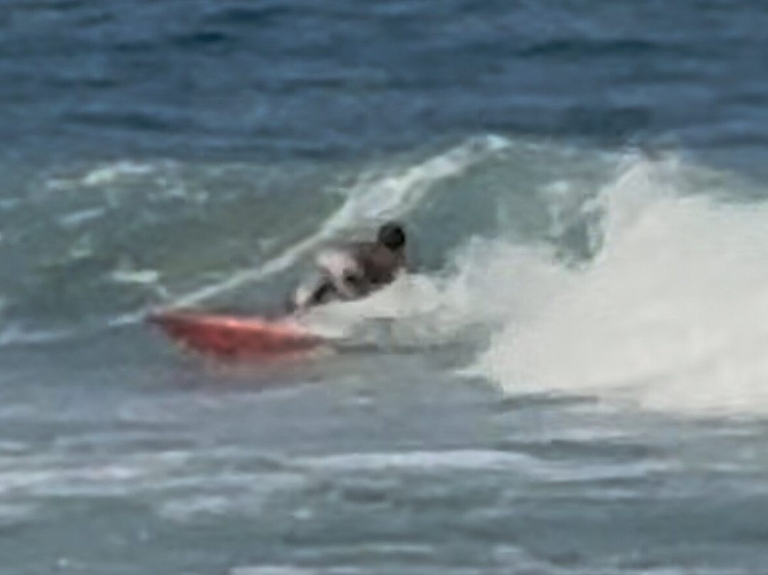 Piranha Sup Surf School-切法卢必去景点