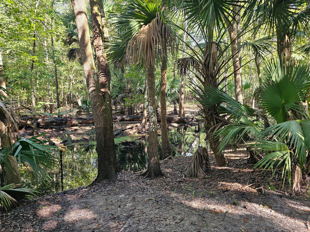 Black Bear Wilderness Area-桑福德必去景点