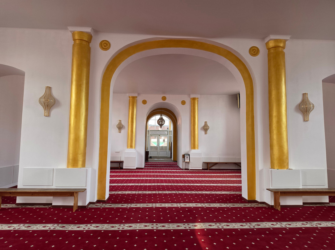 Red Great Mosque-托木斯克必去景点
