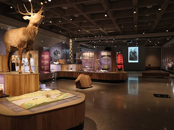 Ålands kulturhistoriska museum-玛丽港必去景点