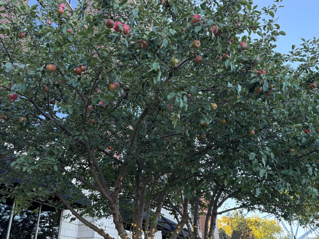 Riverside Park-拉克罗斯必去景点