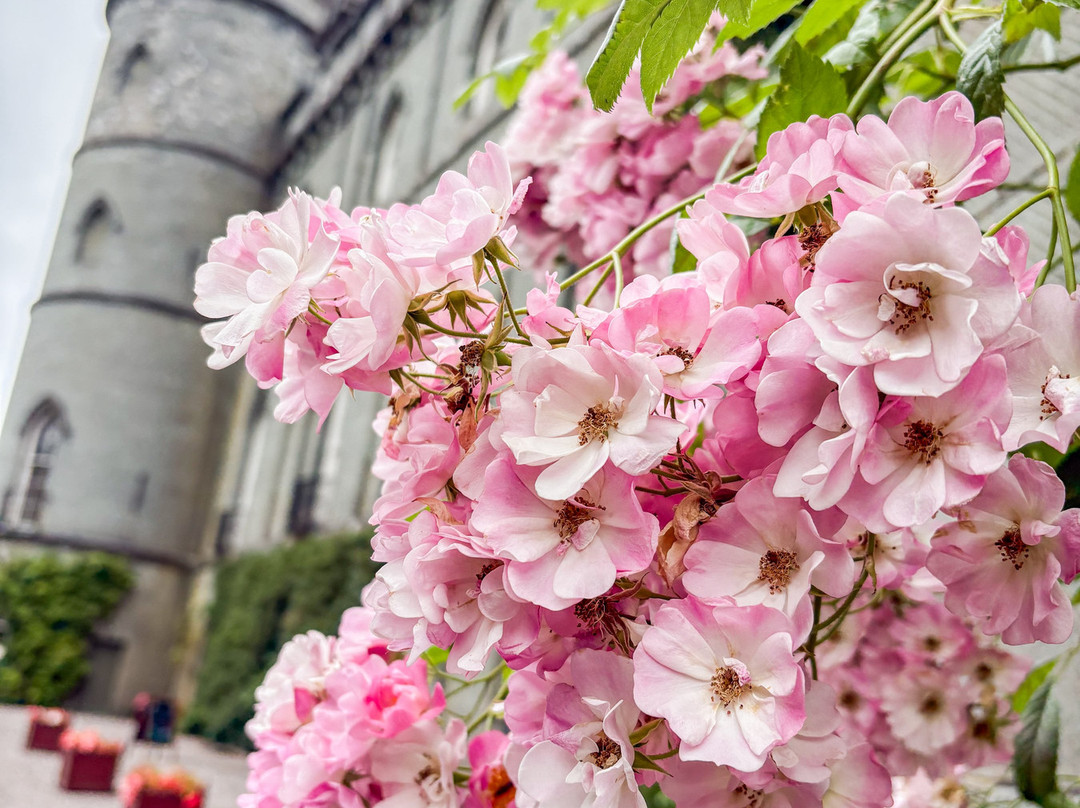 Inveraray Castle & Gardens-因弗雷里必去景点
