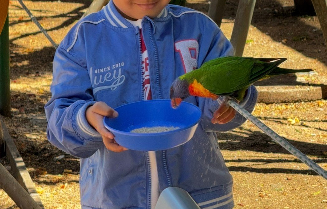 Canberra Walk in Aviary-尼克斯必去景点