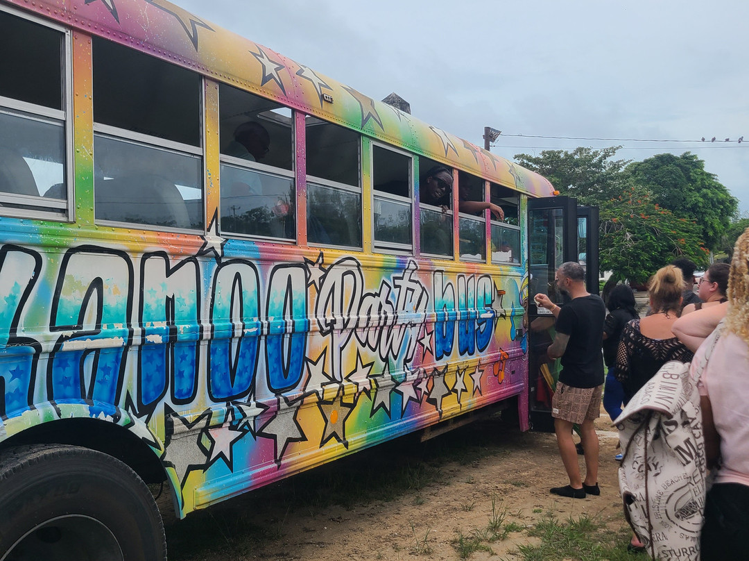 Da Party Bus-圣马丁岛必去景点