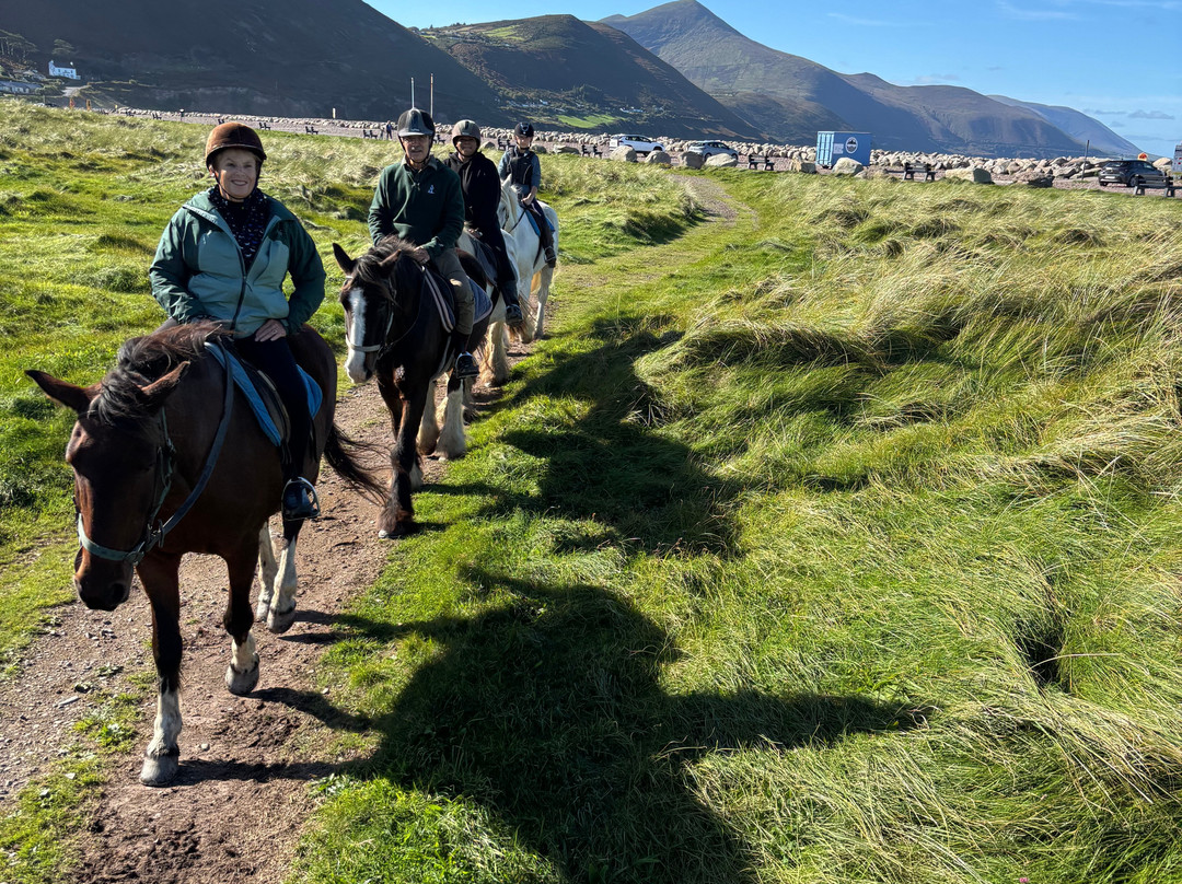 Love Irish Tours-都柏林必去景点
