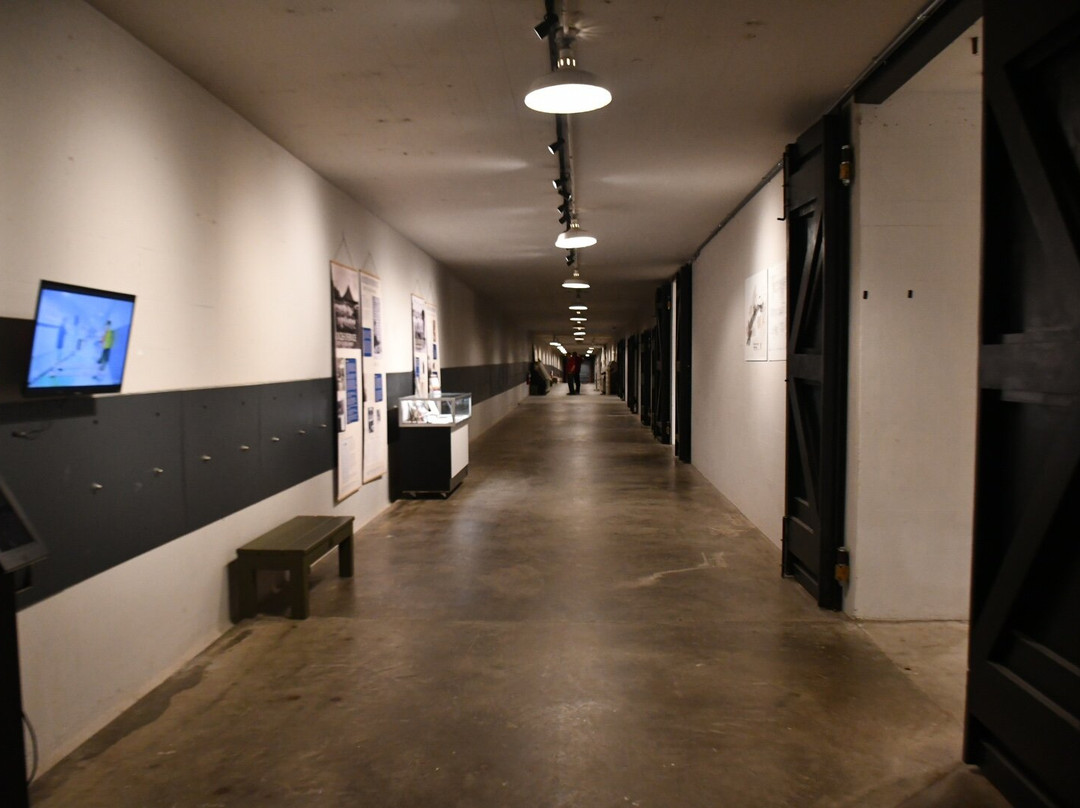 Fort Miles Historic Area at Cape Henlopen State Park-刘易斯必去景点