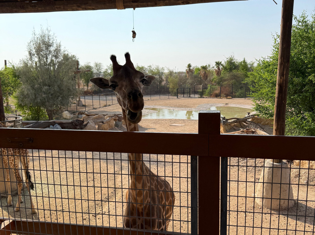 Al Ain Zoo 2017 2018 2019-艾因市必去景点