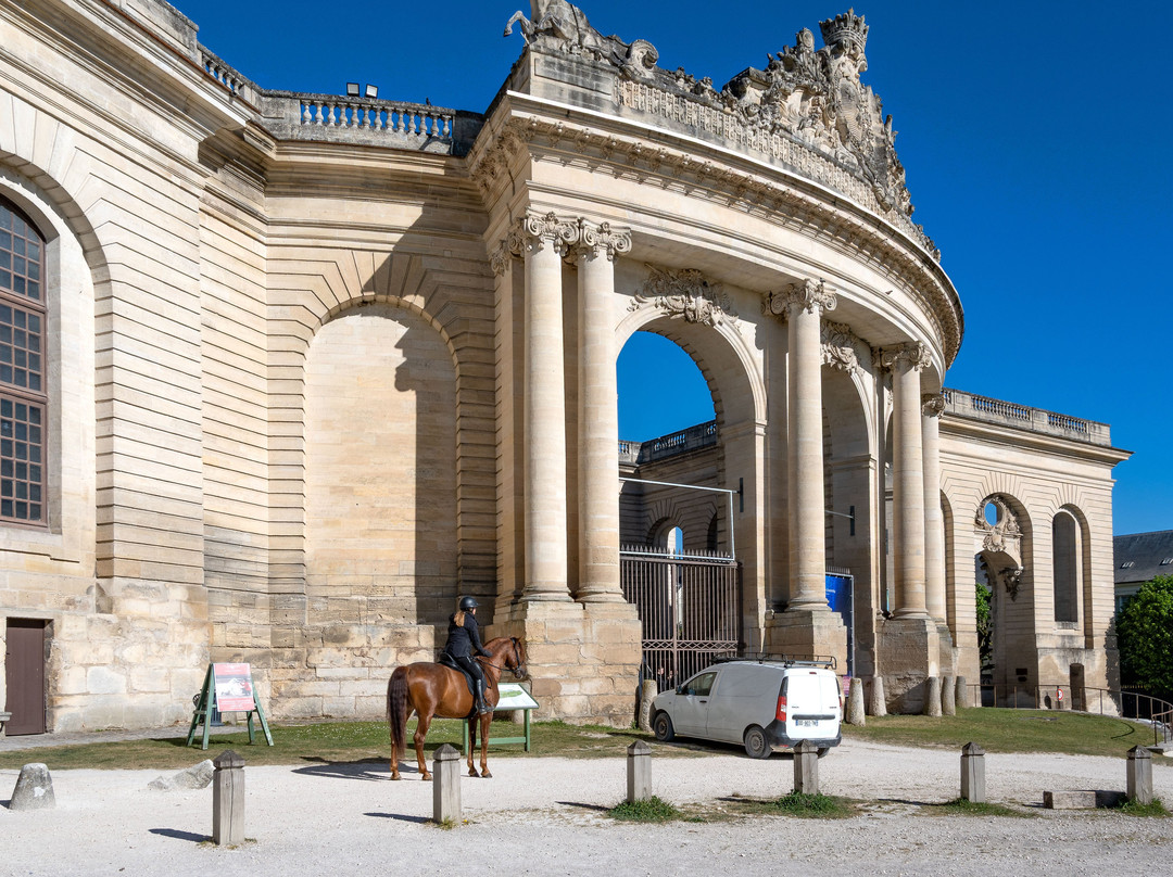 Musée Vivant Du Cheval-尚蒂伊必去景点