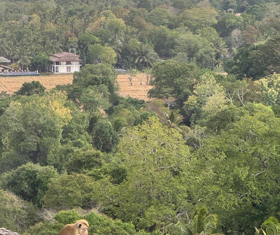Ceylon Footprints-Padukka必去景点