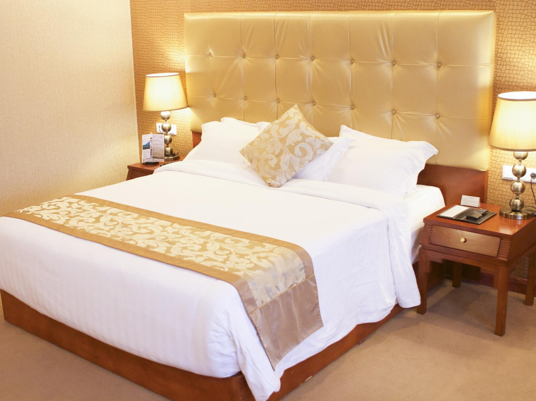 Jupiter International Hotel Bole