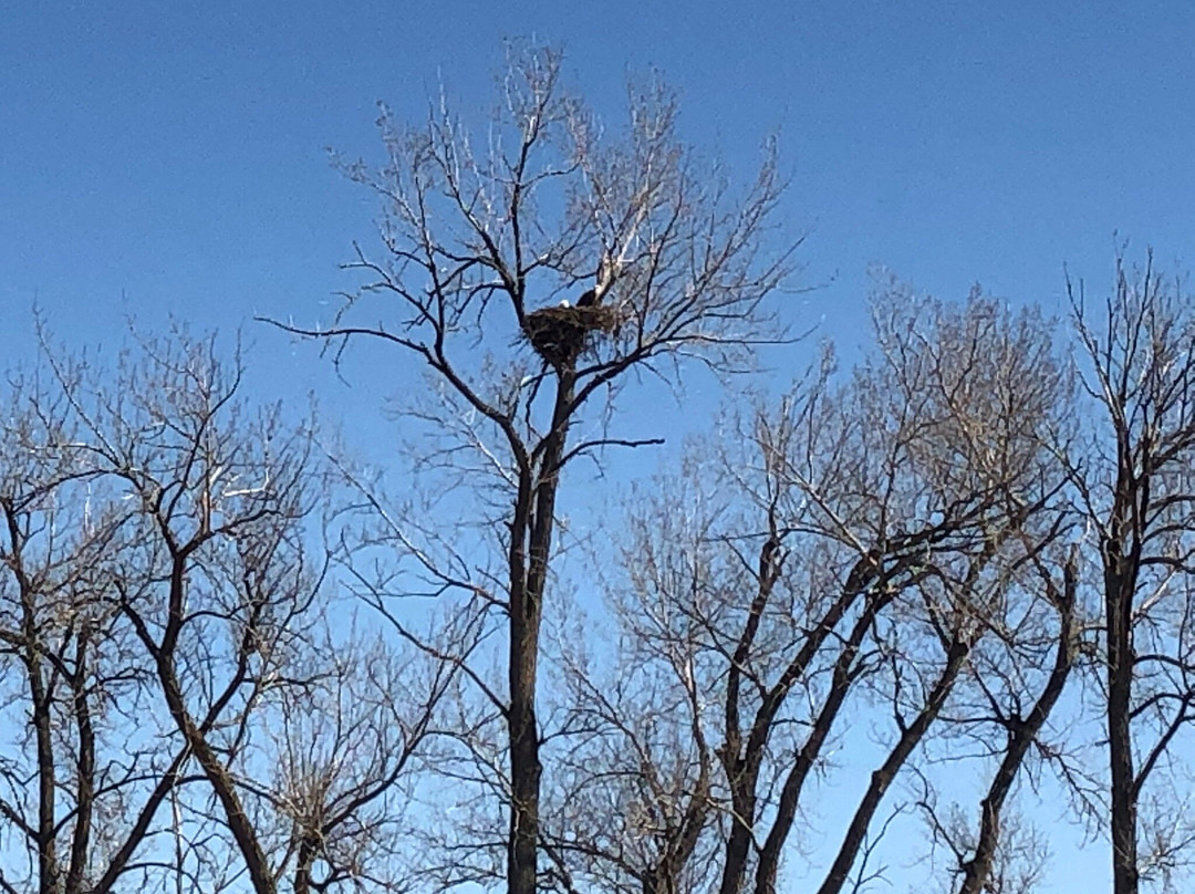 Lac qui Parle Wildlife Management Area