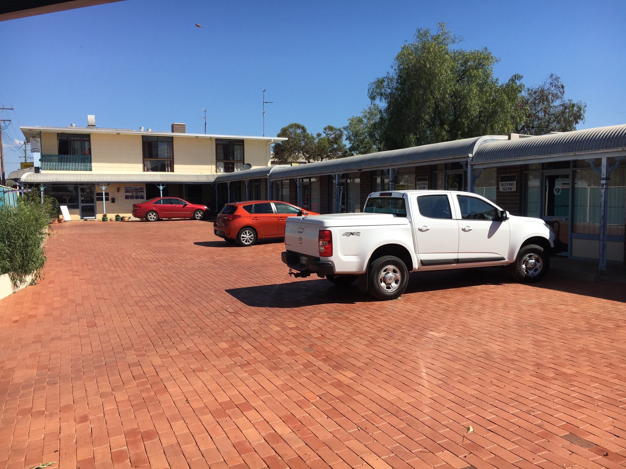 Black Opal Motel-官方