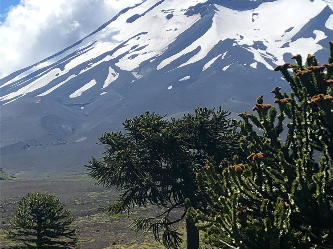 Curacautin酒店住宿-Corralco Resort de Montana