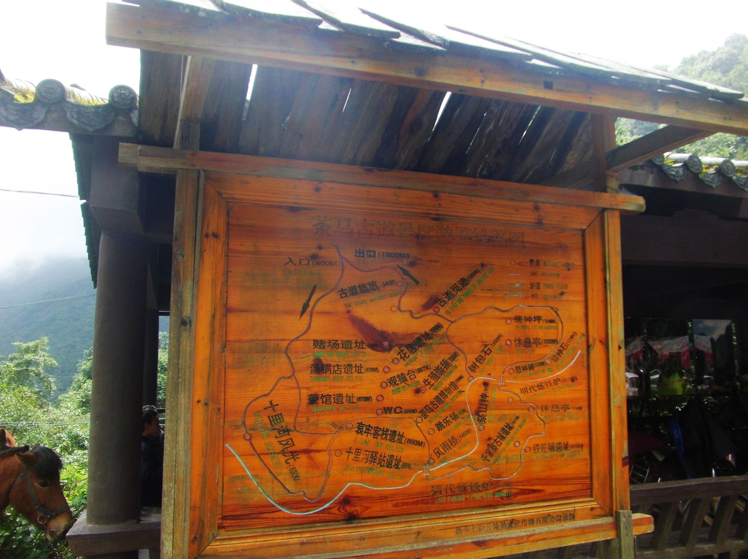 哀牢山国家级自然保护区-新平彝族傣族自治县必去景点