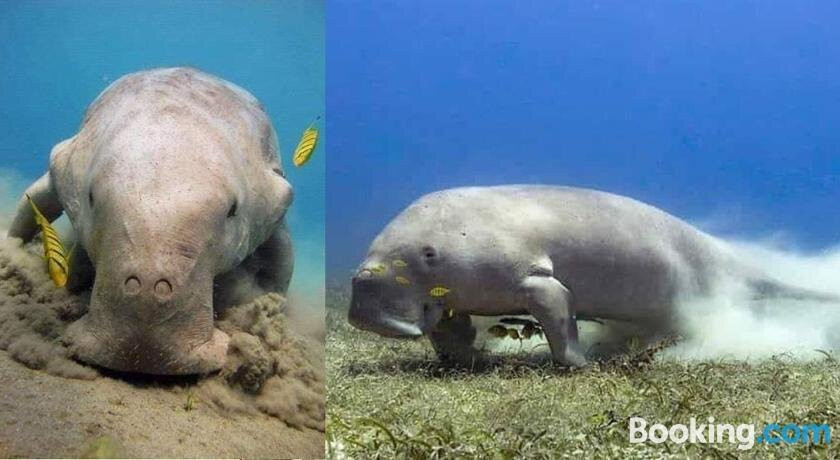 H2O Beach Eco Resort