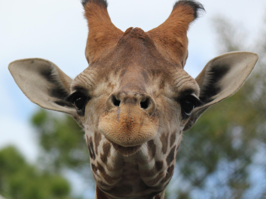 Central Florida Zoo & Botanical Gardens