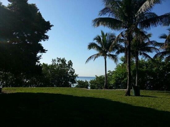 肯尼迪公园-迈阿密必去景点