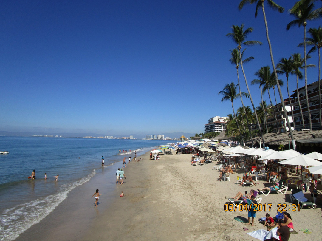 Playa Los Camarones景点图片