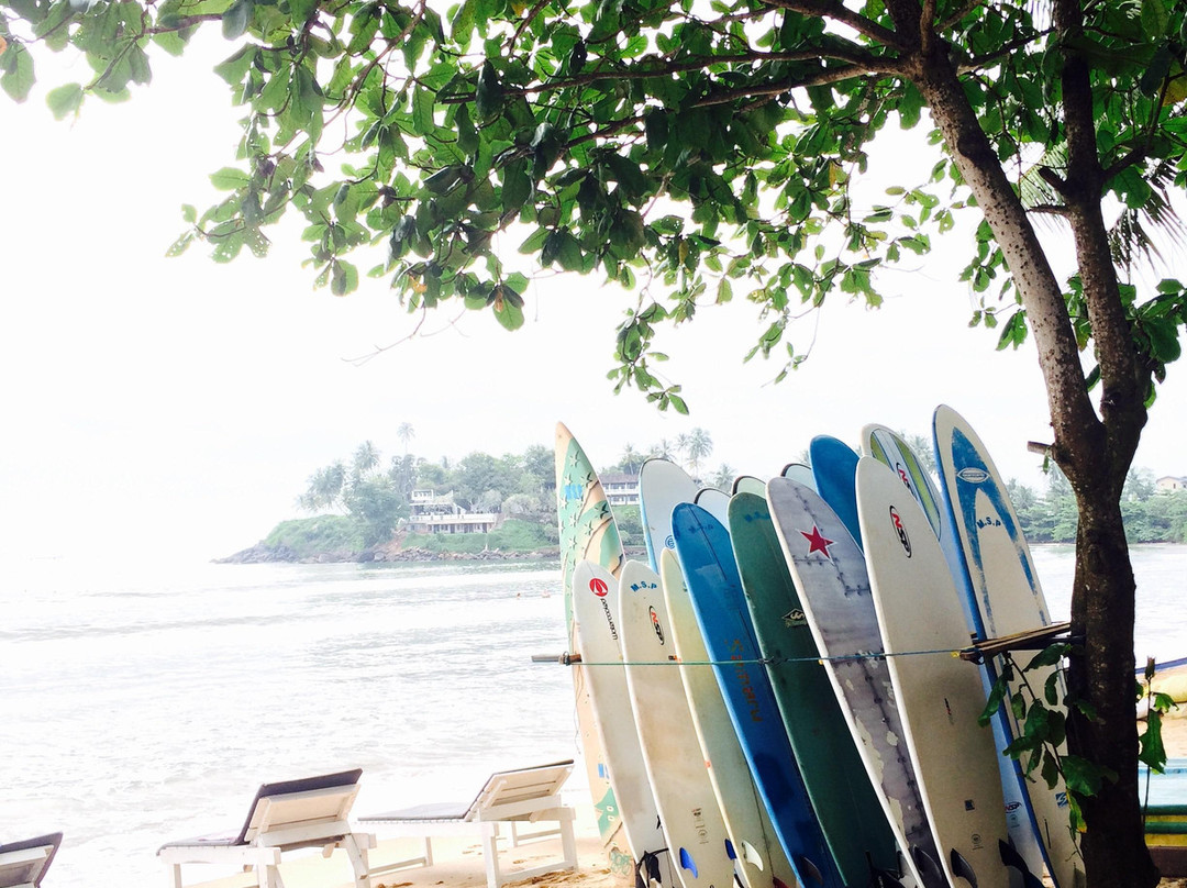 MSP Surf Point & Cafe-加勒必去景点