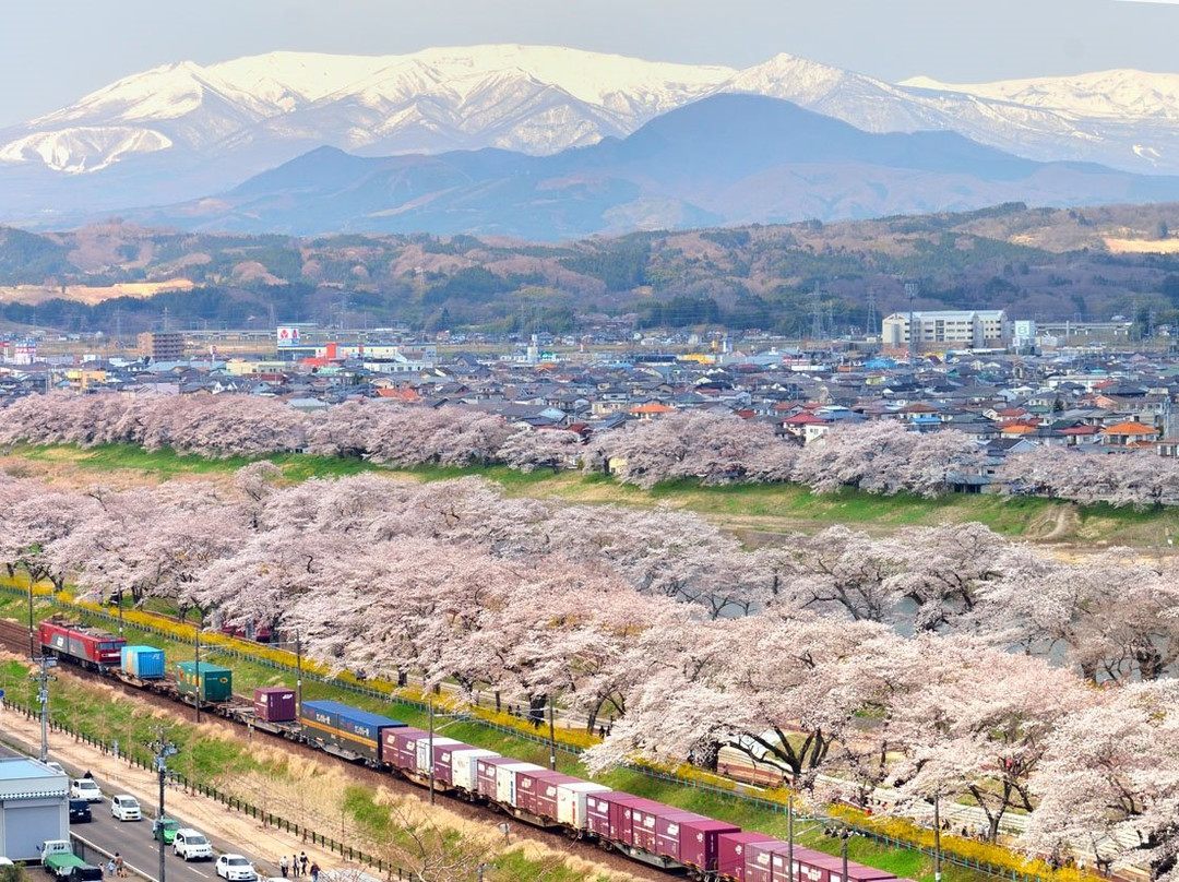 Shibata Senokyo Bridge-柴田町必去景点