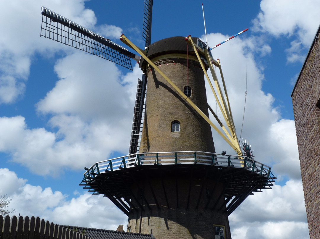 Dirksland旅游攻略图片