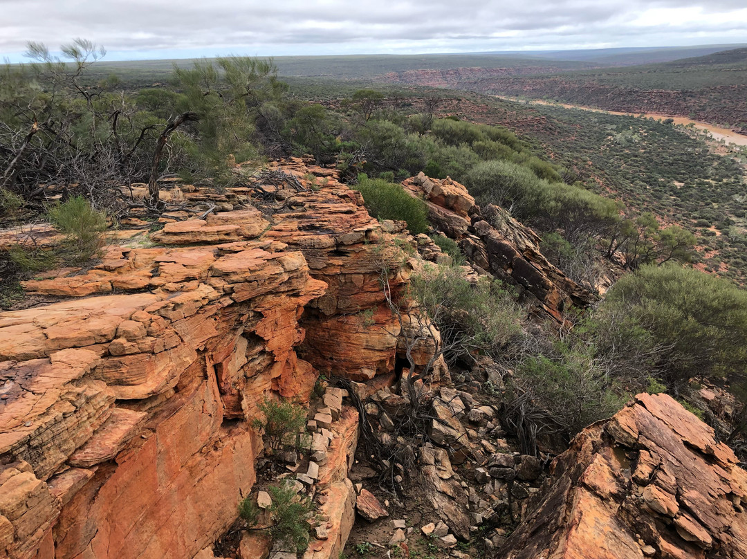 Kalbarri Skywalk景点图片