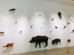 Takao 599 Museum-八王子市必去景点