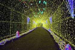 Hamamatsu Fruit Park Tokinosumika景点图片