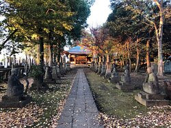 Chomeiji Temple-练马区必去景点
