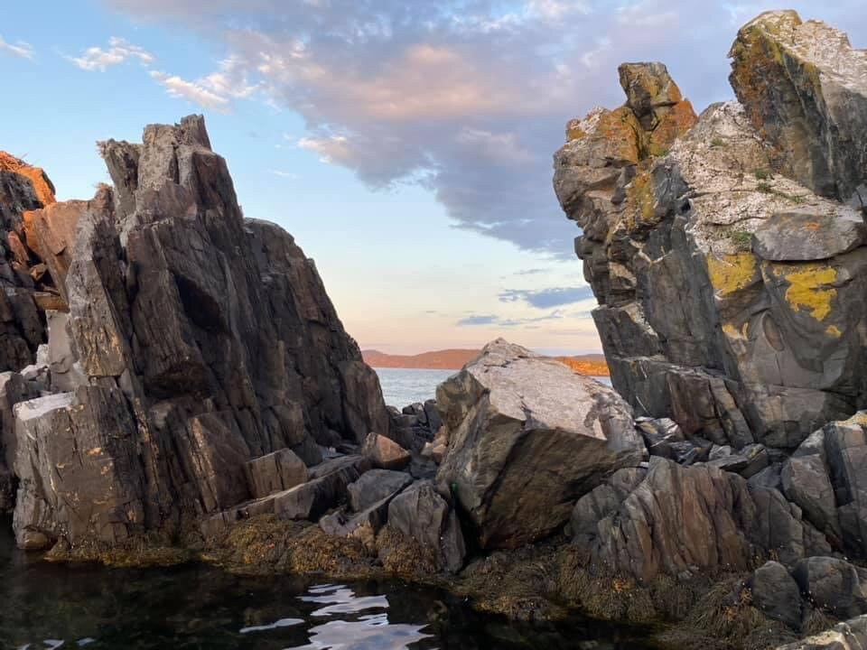 Badger Bay Boat Tours景点图片