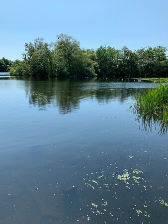 Bolam Lake Country Park-Belsay必去景点