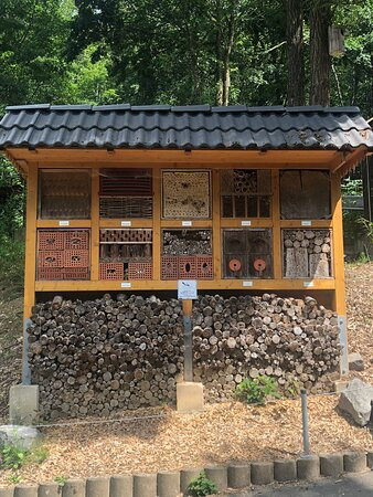 Zoo Neuwied景点图片