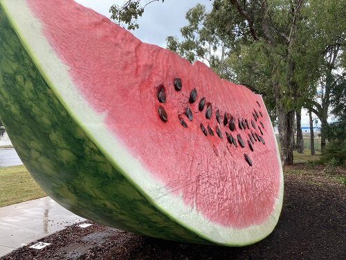 The Big Melon-Chinchilla必去景点